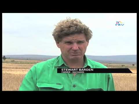 Food Security New farming method, conservation agriculture taking root in parts of the country