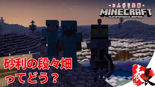 【マインクラフト-とんがり島編-】砂利の下りから何故こうなるw【TSC】