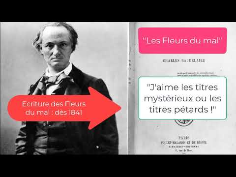 Review the essentials of Les Fleurs du mal (for the French baccalaureate exam)