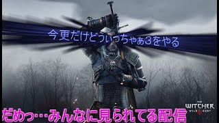 ウィッチャー3を人の話し声の聞こえる場所でやりますけど、問題ないですか？飲酒ウィッチーズ