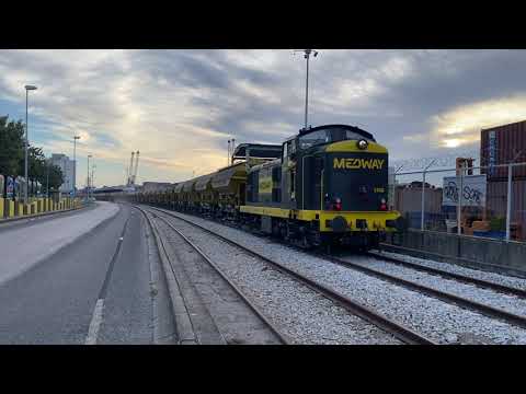 Medway 1446 (ex-CP 1446) + 59 Vagões TDGS @ Matinha, 13/08/2022