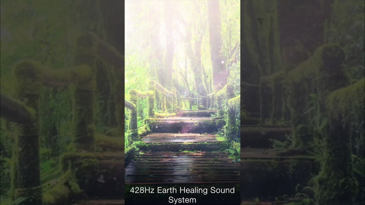 Find Gentle Comfort: 1-Minute Relaxing Session for Inner Care