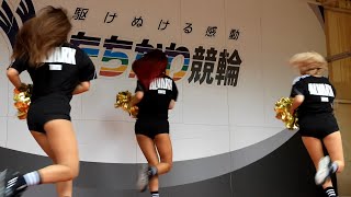 アルバルク東京チアリーダー たちかわ競輪応援パフォーマンス