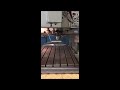 Video abspielen