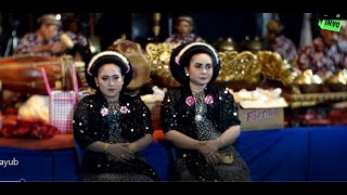 Download lagu Tayub Bojonegoro WAHYU IROMO di Kediaman Bp. Radino (Mbah No) & Ibu Warsini (warung sor asem) mp3