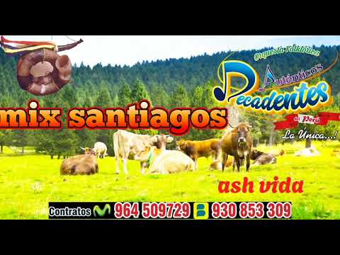 MIX DE SANTIAGOS 2024 AUTÉNTICOS DECADENTES DEL PERÚ