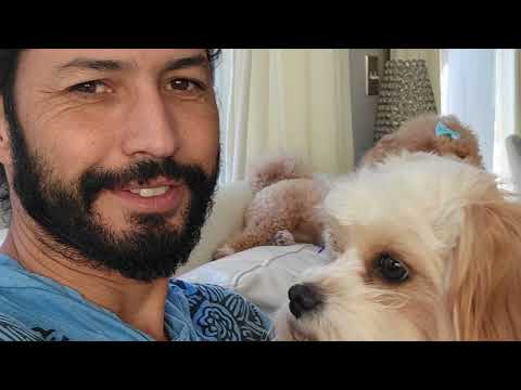 “A dog is the only thing on earth that loves you more than you love yo