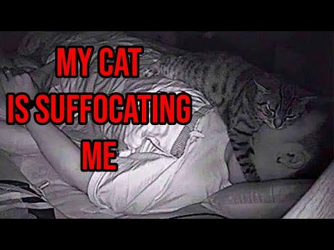 Guy Installs Camera And Finds Out His Cat Has Been Suffocating Him At Night