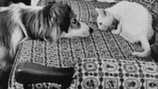 Mario Biondi- Hello Like Before (lyrics)