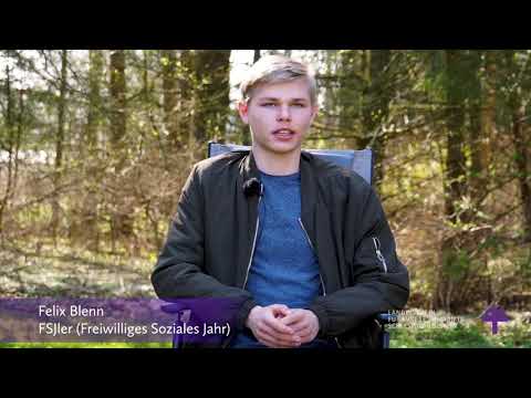 FSJ und BFD: Welche Aufgaben haben Freiwillige im Landesverein? Was macht besonders Spaß?