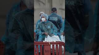 How Deadly is Hantavirus Compared to Covid? #shorts