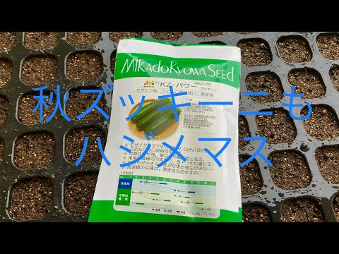 ズッキーニの種を播く前に浸したほうがよいでしょうか？  庭園