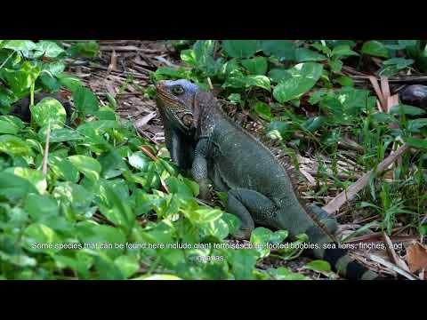 25 Most Surreal Places on Earth   Travel Video