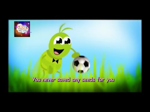 The Ant Cricket - Baby World