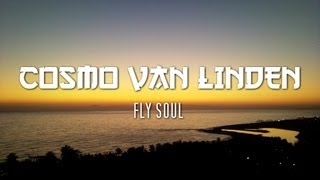 BMU MUSIC PRODUCTION GERMANY - FLY SOUL (CHILLOUT MUSIC)