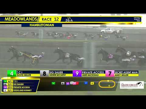 August 3, 2024 - 99th Hambletonian - Race 12