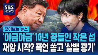 '야금야금' 작은 섬 하나에 10년 공들였다..불타 죽어 재앙 시작? 심상치 않은 신호 / SBS / 모아보는 뉴스