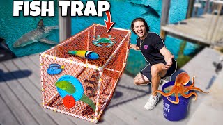 I Built a GIANT FISH TRAP To Catch $1000 Aquarium FISH!