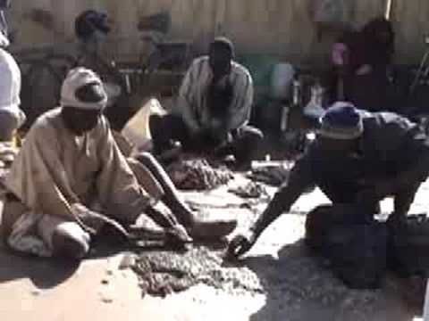 Fish market Khartoum Sudan