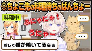 鳴き声が猫過ぎてちょこ先に勘違いされるばんちょーｗｗｗ【 #ろきじめ #轟はじめ #ホロライブ #ホロライブ切り抜き #hololivedev_is #regloss 】