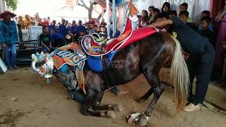 Download lagu Renggong horse 2019 - The newest attraction of the tenuous horse cep dawn mp3