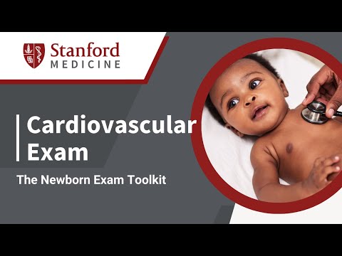 Cardiovascular Examination of the Newborn