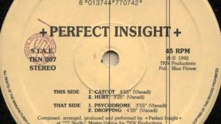 Perfect Insight - Psycodrome
