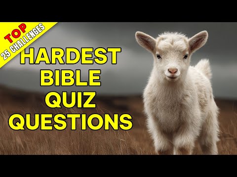 TOP 25 BIBLE QUESTIONS TO TEST YOUR BIBLE KNOWLEDGE - The Bible Quiz