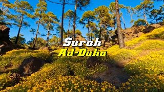 Download lagu Murottal Surah Ad Duha Muzammil Hasballah merdu menenangkan hati mp3 Download lagu Murottal Surah Ad Duha Muzammil Hasballah merdu menenangkan hati mp3