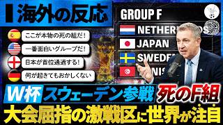 【海外の反応】W杯最凶「死の組」爆誕！スウェーデン参戦で死闘の予感のグループFに世界が注目！『何が起きてもおかしくない』