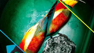 ME&LP - Bonnie Says (No Shitty Ride)