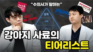 논란의 강아지 사료 등급표? 🔍수의사가 100% 주관적으로 평가해드립니다🧐