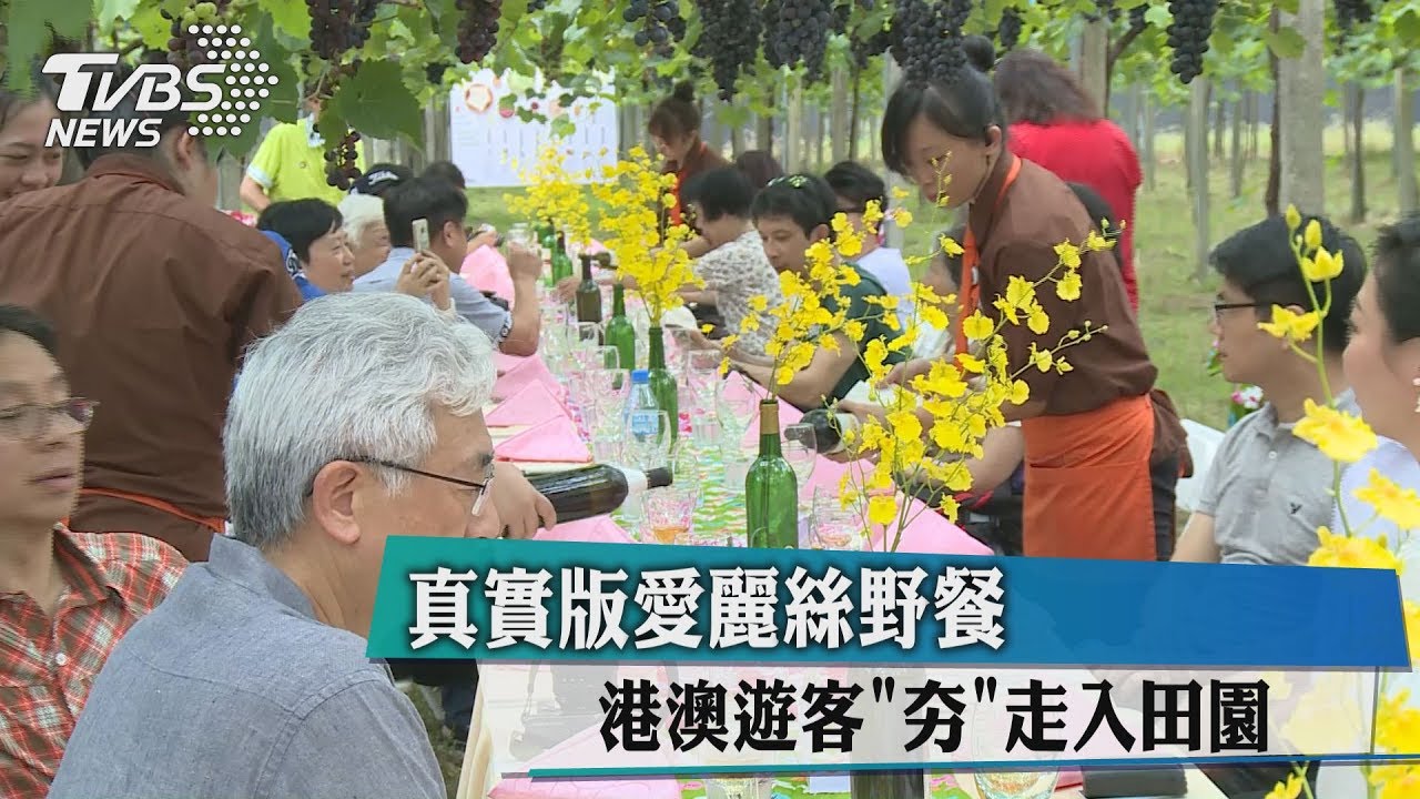 真實版愛麗絲野餐 港澳遊客「夯」走入田園
