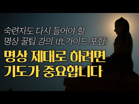명상 초보부터 숙련자를 위한 꿀팁 강의와 가이드 명상 | "가장 중요한 건 가슴차크라를 깨닫는 것이에요" #초청강의