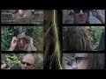 SikTh - Scent of the Obscene (Official Music Video)