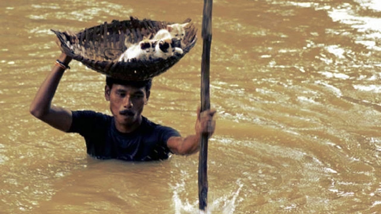Watch Now Imagens que vão restabelecer a sua fé e esperança na humanidade! Imagens que vão restabelecer a sua fé e esperança na humanidade!