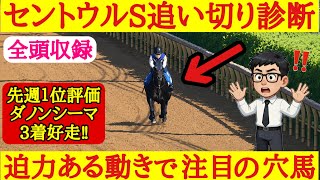 【セントウルステークス2026】最終追い切り診断！1位評価は伸びやかなフットワークで迫力ある動き見せたあの穴馬！