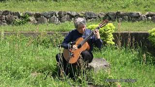 関谷静司ギターソロ！曲名　キューバの花と海中林淳眞　場所　石井樋公園（さが水ものがたり館）真空管機材レコーディング