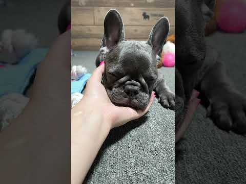 Video 1
