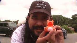 GLOM – Late to the Party