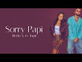 Topic & Becky G — Sorry Papi (Lyrics)