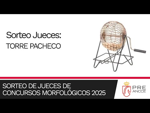 Sorteo de Jueces para el concurso de: TORRE PACHECO