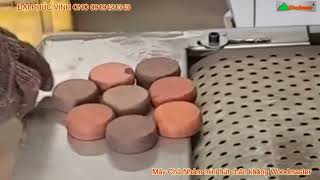 Máy chà nhám đồ chơi mini hút chân không Woodmaster