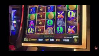 BUFFALO LINK bonus with a ton of free games! BIG WIN #casino #slotmachines #livestream #beansslots Video Video
