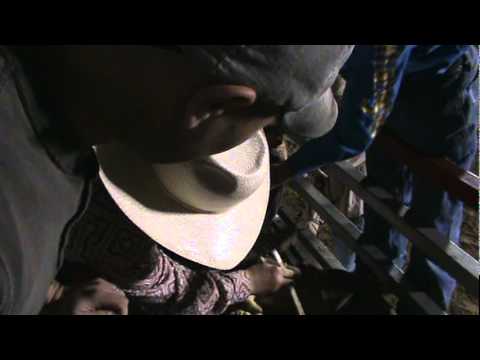 Brent at Jerome Davis rodeo