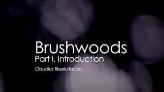 Brushwoods — Part I, Introduction: made with MAIDENS