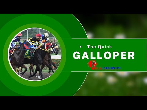 Mahogany To Sail With The Viceroy