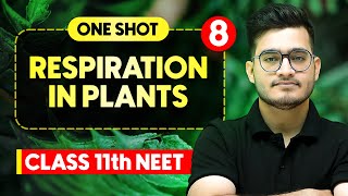 RESPIRATION IN PLANTS - Complete Chapter in One Video || Concepts+PYQs || Class 11th NEET