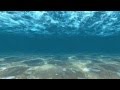 Wave Of Underwater For Website Background Video Crackcodex