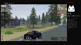 家族で楽しくゲーム実況　（荒野行動）初心者　（＾－＾）